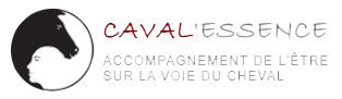 Caval'essence – Domaine Equestre de Kanthaka Logo